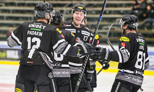 Gegner-Update: Dornbirn Bulldogs