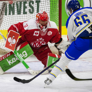 Tohüter Sebastian Dahm parierte alle 36 auf seinen Kasten abgegebenen Schüsse Tohüter Sebastian Dahm parierte alle 36 auf seinen Kasten abgegebenen Schüsse