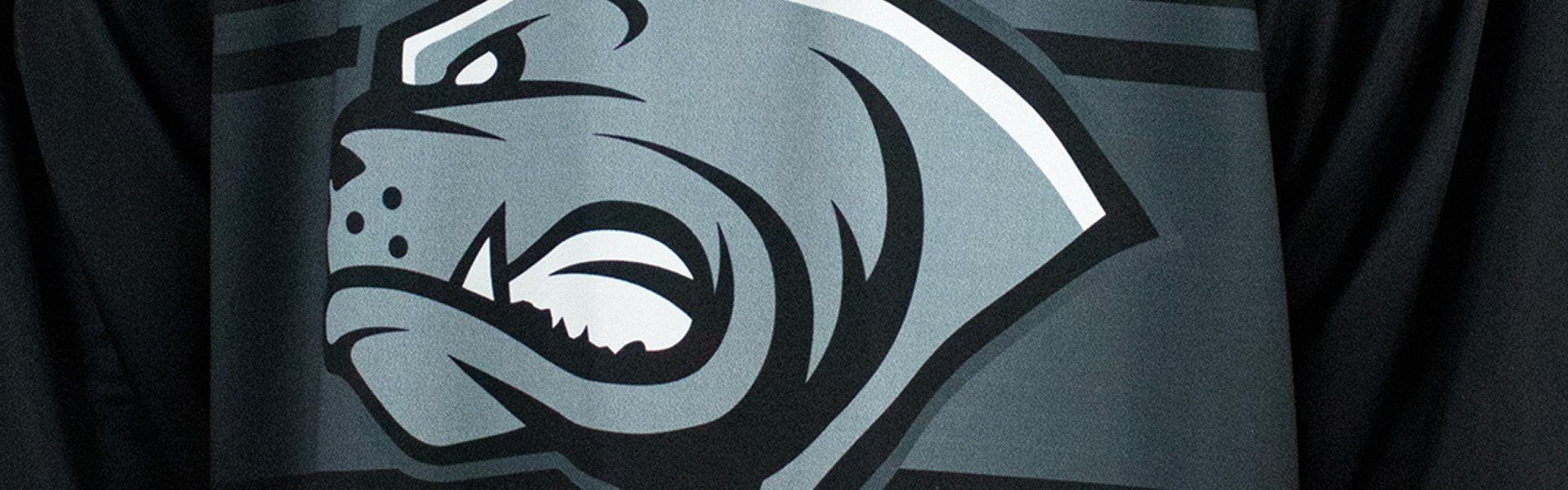 Gegner-Update: Dornbirn Bulldogs