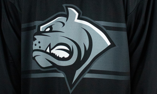 Gegner-Update: Dornbirn Bulldogs