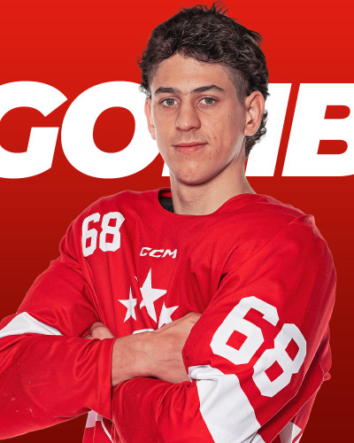 Luka Gomboc