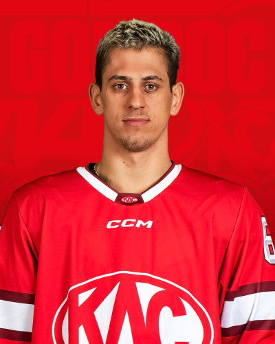 Luka Gomboc