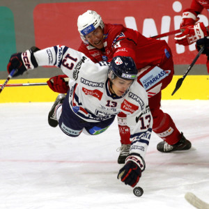 Nick Petersen bringt Kristóf Németh zum Abflug Nick Petersen bringt Kristóf Németh zum Abflug