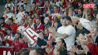 Auch beim Heimspiel gegen Fehérvár AV19 waren die Ränge der Heidi Horten-Arena gut gefüllt