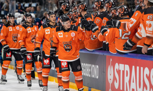 Im Vorjahr erreichten die Grizzlys Wolfsburg das Achtelfinale in der Champions Hockey League