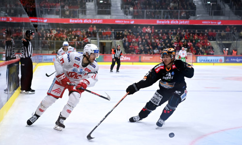 In ihrem zweiten ICE-Saisonspiel auf eigenem Eis empfangen die Rotjacken am Freitag die Black Wings Linz