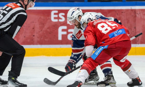 Raphael Herburger krönte sein Comeback mit einem Vier-Punkte-Spiel