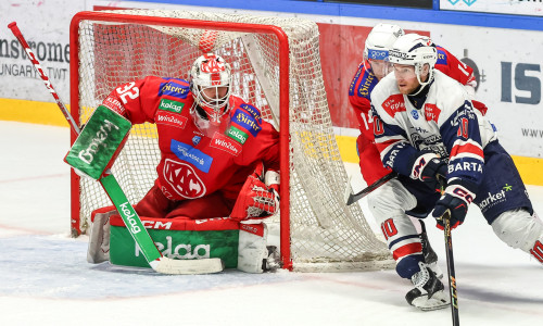 Sebastian Dahm feierte in Székesfehérvár sein zweites Shutout innerhalb von gut 46 Stunden