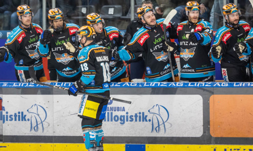 Stürmer Ken Ograjenšek sammelte in den letzten sechs Ligaspielen herausragende zwölf Scorerpunkte