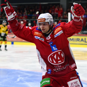 David Maier, der schon im ersten Spiel der Serie getroffen hatte, schnürte diesmal sogar einen Doppelpack David Maier, der schon im ersten Spiel der Serie getroffen hatte, schnürte diesmal sogar einen Doppelpack