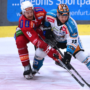 Nick Petersen gab im ersten Halbfinalspiel sein Comeback nach zwei verpassten Partien Nick Petersen gab im ersten Halbfinalspiel sein Comeback nach zwei verpassten Partien