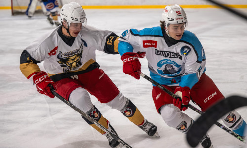 Marco Kasper und viele weitere aktuelle wie ehemalige Rotjacken laufen in der Sunshine Hockey League auf