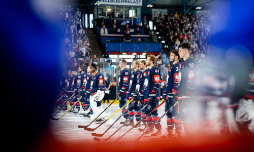 Die Eisbären Berlin spielen heuer zum achten Mal in der Champions Hockey League