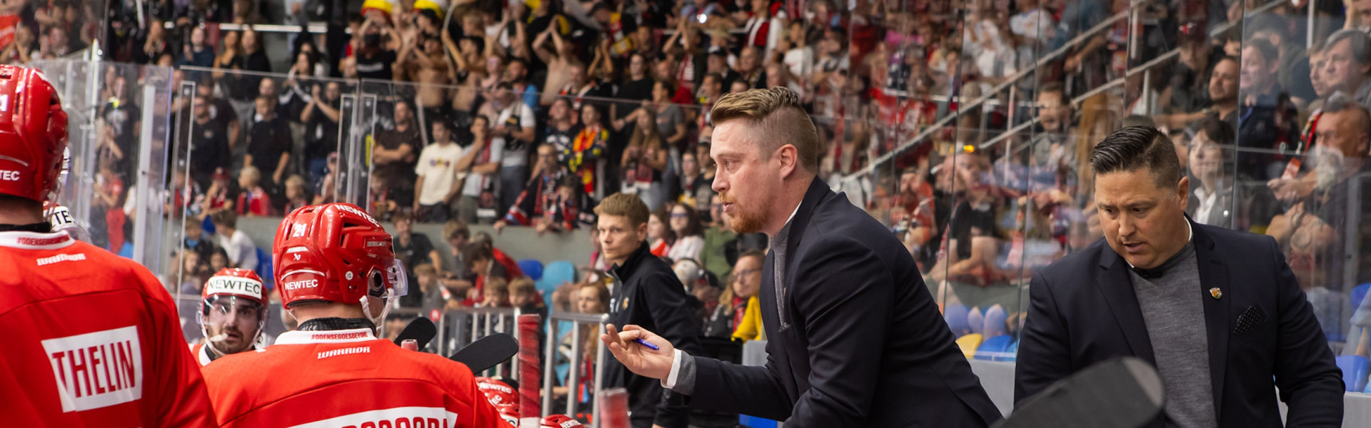 Die Odense Bulldogs spielen 2025/26 zum ersten Mal in der Champions Hockey League