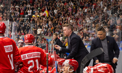 Die Odense Bulldogs spielen 2025/26 zum ersten Mal in der Champions Hockey League