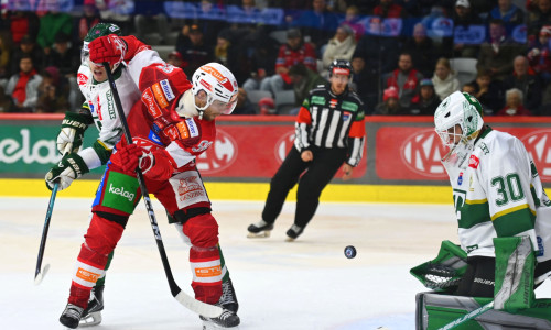 Daniel Obersteiner sammelte in den letzten vier Ligaspielen vier Scorerpunkte und will am Mittwoch auch gegen Budapest anschreiben