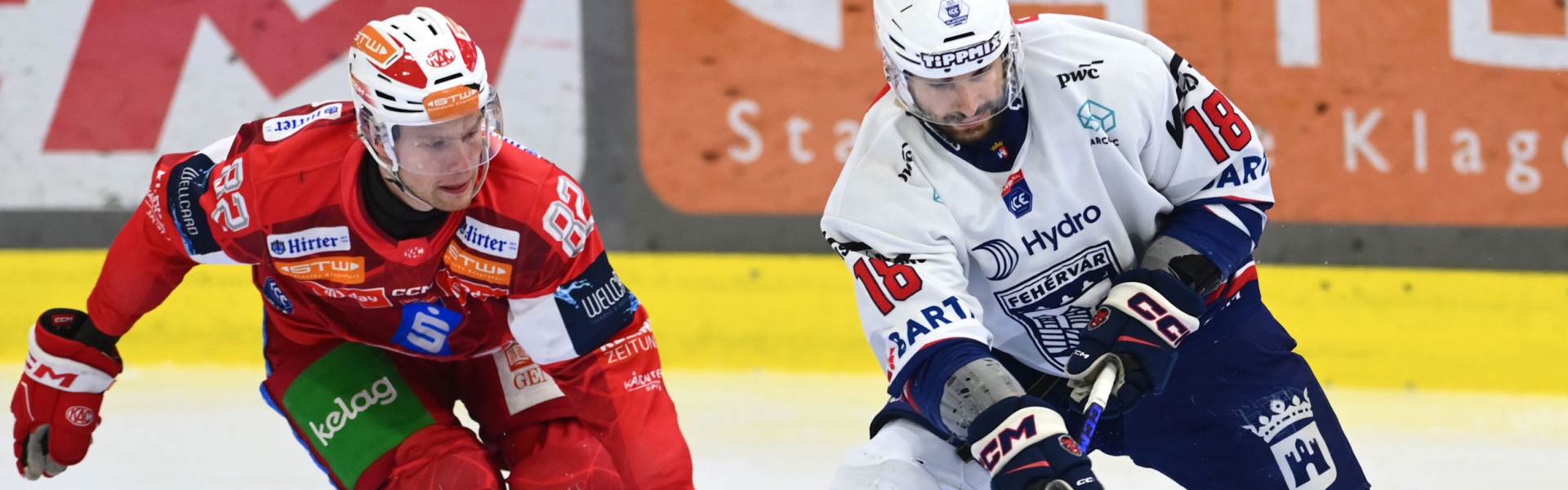 Thimo Nickl und die Rotjacken stehen am Dienstag zum zweiten Mal in der Viertelfinalserie Fehérvár AV19 gegenüber