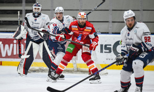 Jan Muršak und die Rotjacken unterlagen Fehérvár AV19 zum dritten Mal hintereinander